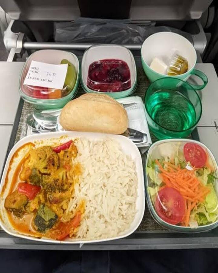 Vegan In Flight Dining Guide